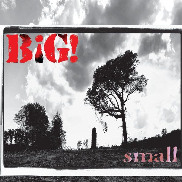 Cover art for Small